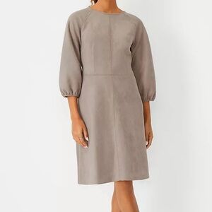 Petite Stitched Faux Suede Flare Dress Anne Taylor Size 2